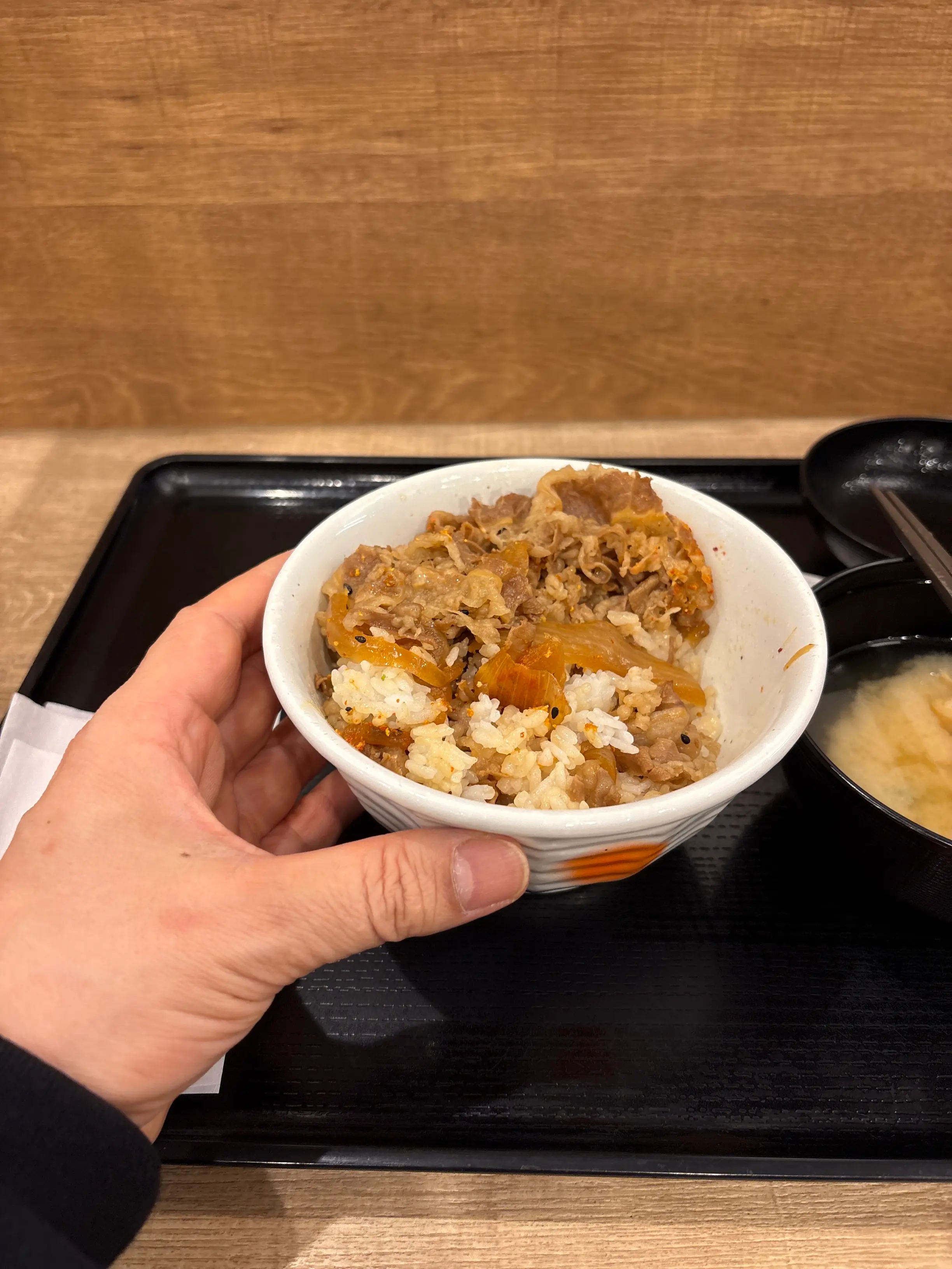 Matsuya Beef Bowl Regular Size Nami Portion Check